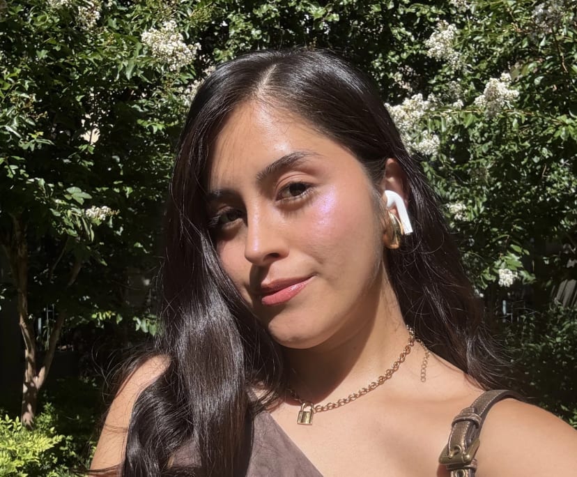 Javiera milene