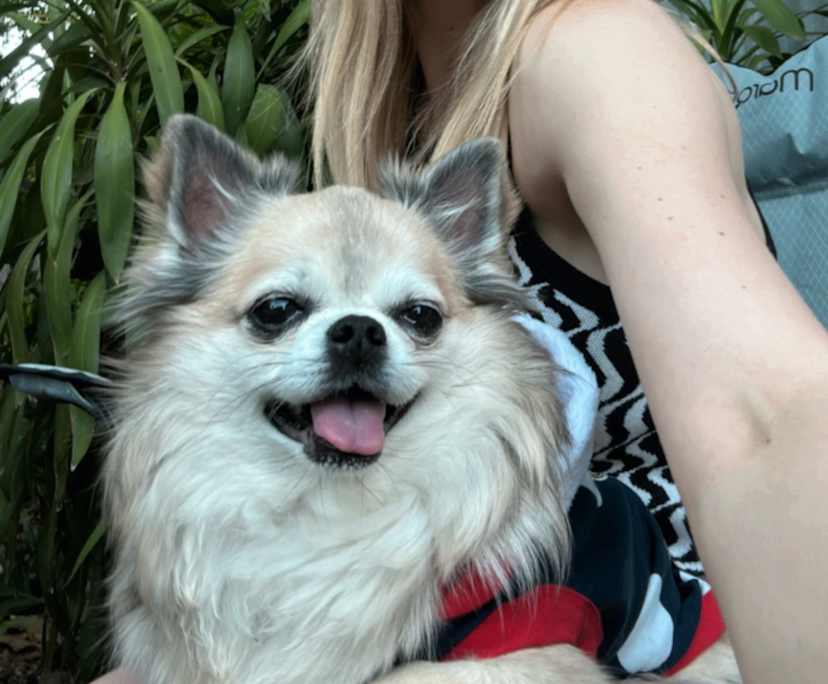 Brittany (33), $220, Smoker, Have pets, and No children
