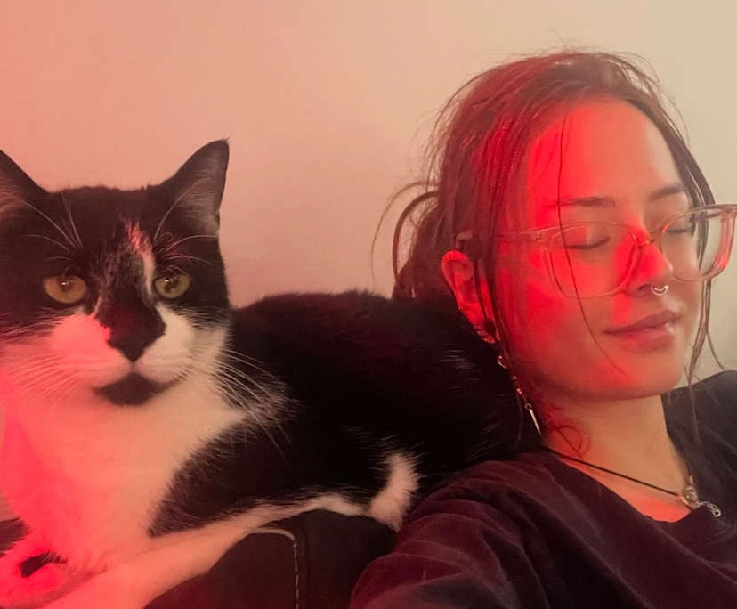 Phoenix (24), $300, Non-smoker, Have pets, and No children