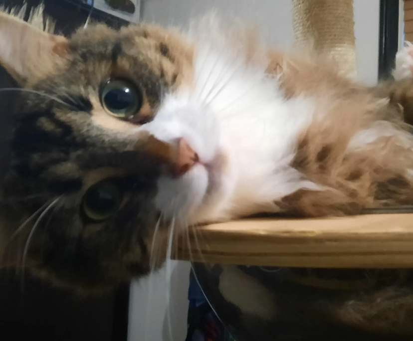 Ben