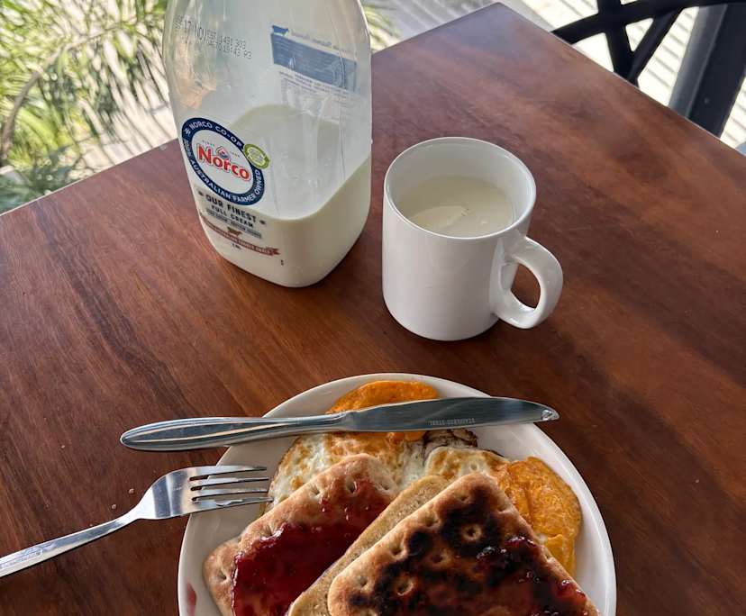 Tran (23), $300, No pets, No children, LGBTQIA+, and Non-smoker