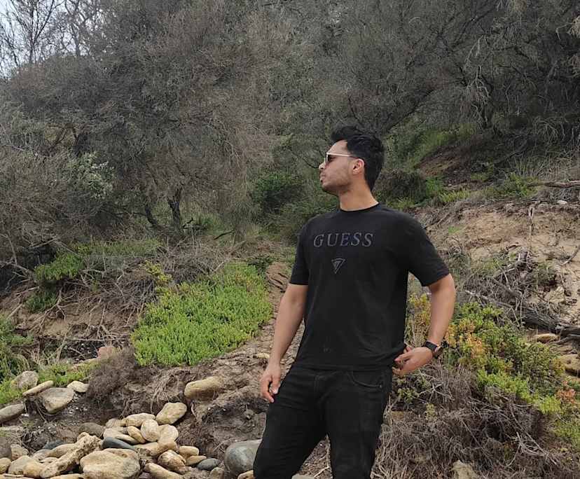 Mohib