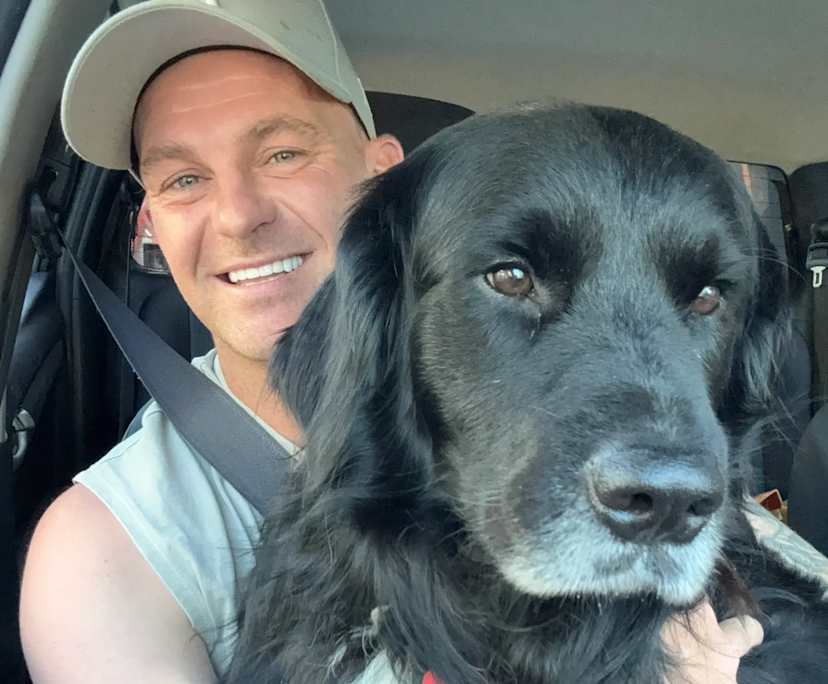 Daniel (31), $350, Non-smoker, Have pets, and No children