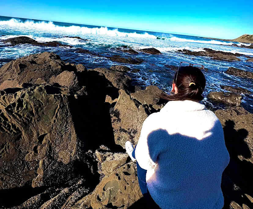 jasmine (22), $350, Non-smoker, Have pets, and No children