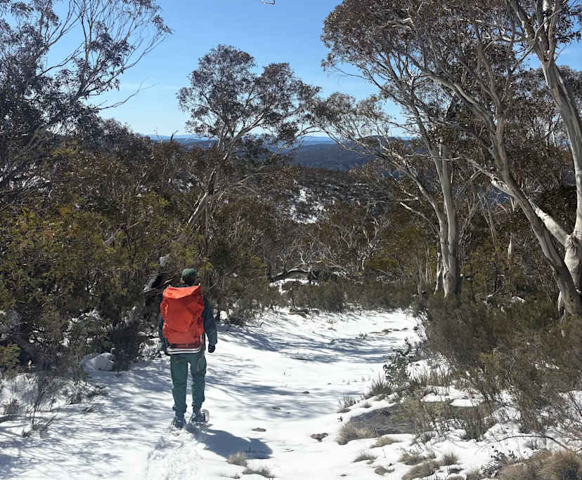 Seamus (25), $300, Non-smoker, No pets, and No children