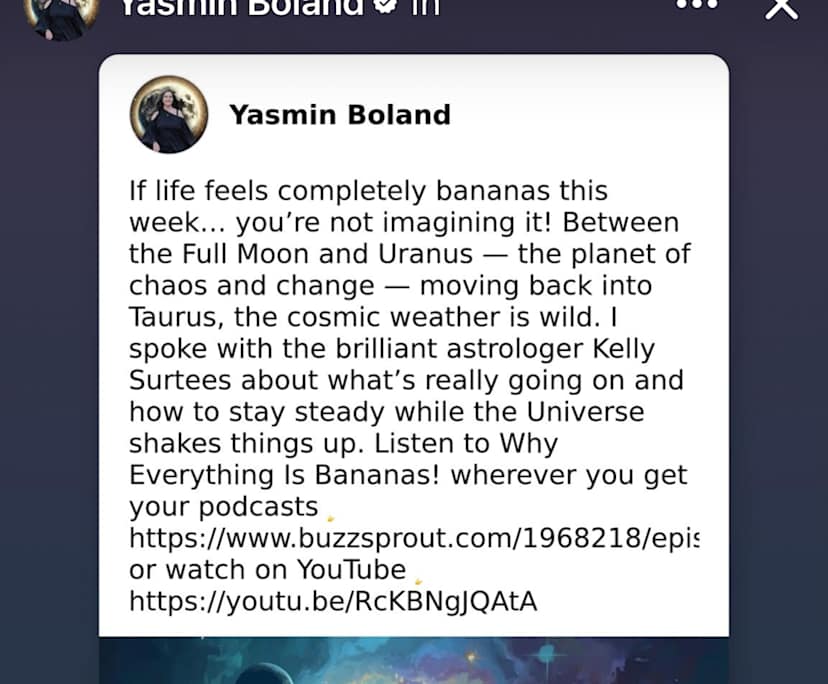 Mischa (58), $300, Non-smoker, Have pets, and No children