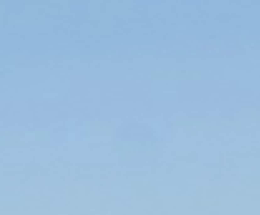 Trinity Vong (22), $400, 