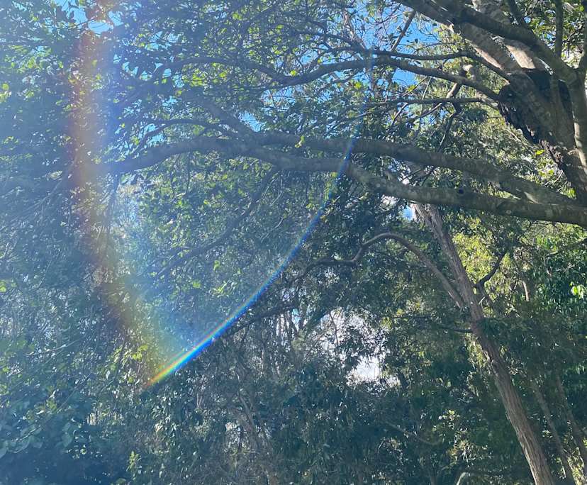 Haylee (23), $180, LGBTQIA+, Non-smoker, No pets, and No children