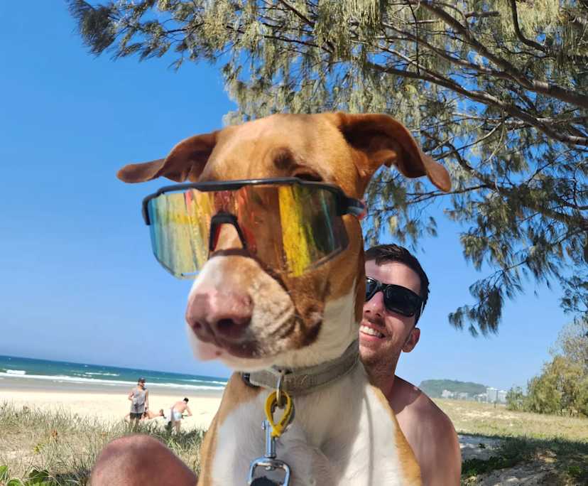 Brendan (30), $400, LGBTQIA+, Non-smoker, Have pets, and No children