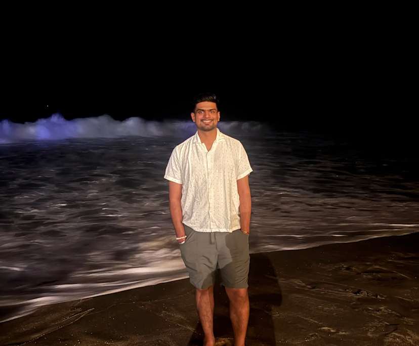 Ankush (30), $300, Non-smoker, No pets, and No children