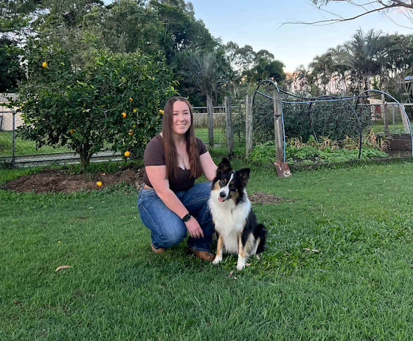 Ashlee (24), $300, Non-smoker, Have pets, and No children