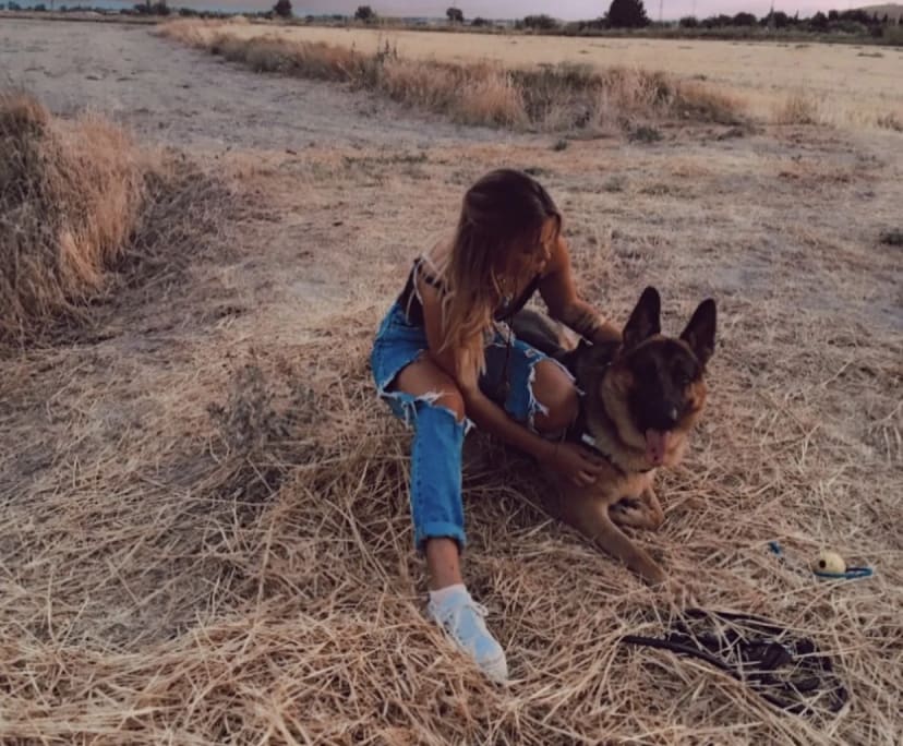 Penelope (24), $350, Non-smoker, No pets, and No children