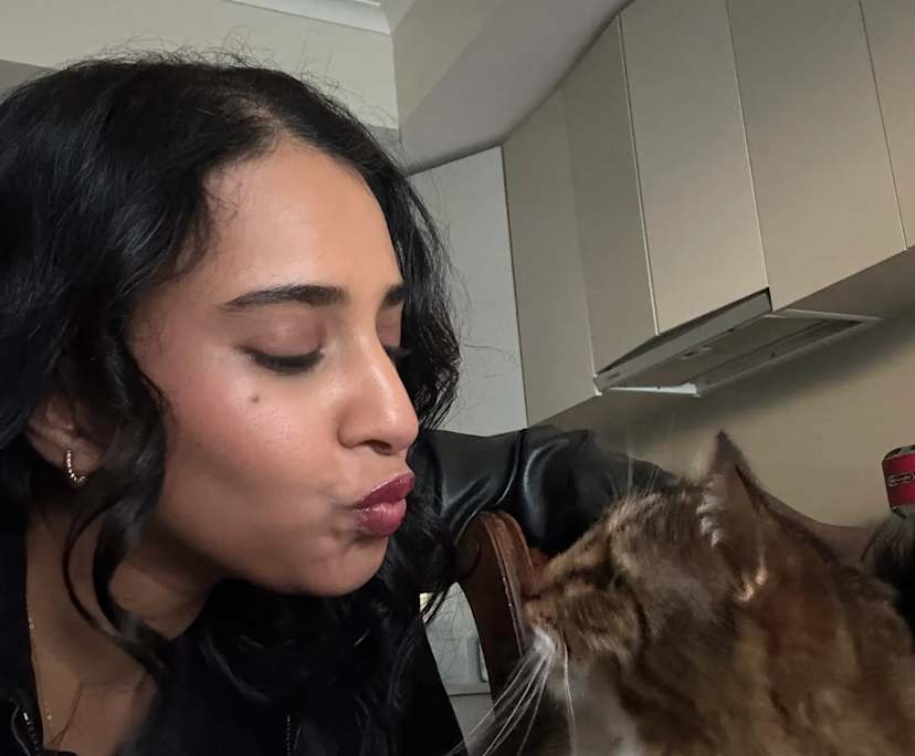 Tasneem (27), $350, Non-smoker, Have pets, and No children