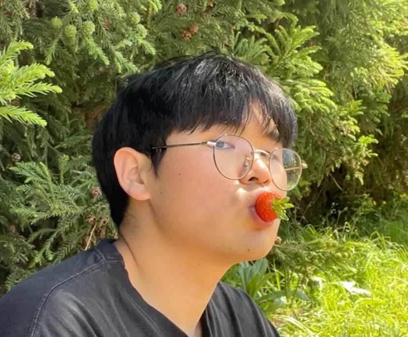 Junyong (27), $300, Non-smoker, No pets, and No children