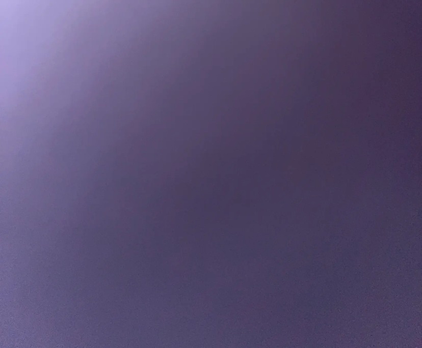 Kayla (21), $200, Non-smoker, No pets, and No children