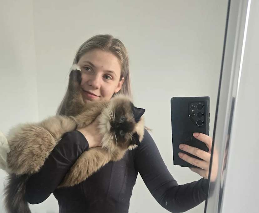 Amy (31), $300, Have pets, Non-smoker, and No children