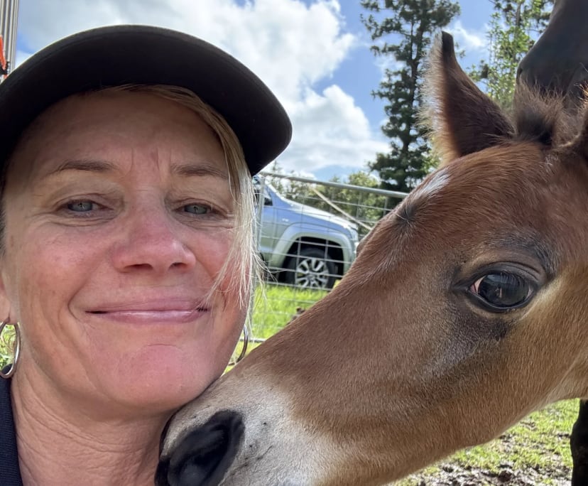 Debbie (51), $350, Have pets, Non-smoker, and No children
