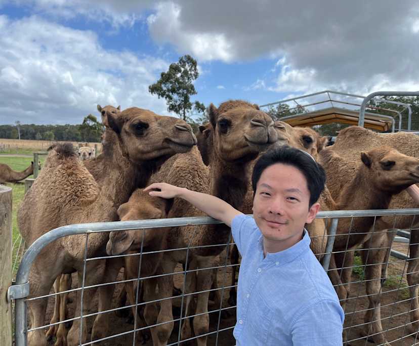 Qiming (40), $300, LGBTQIA+, Non-smoker, No pets, and No children