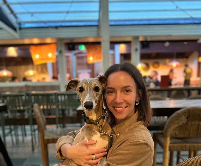 Maddie (30), $500, Non-smoker, Have pets, and No children