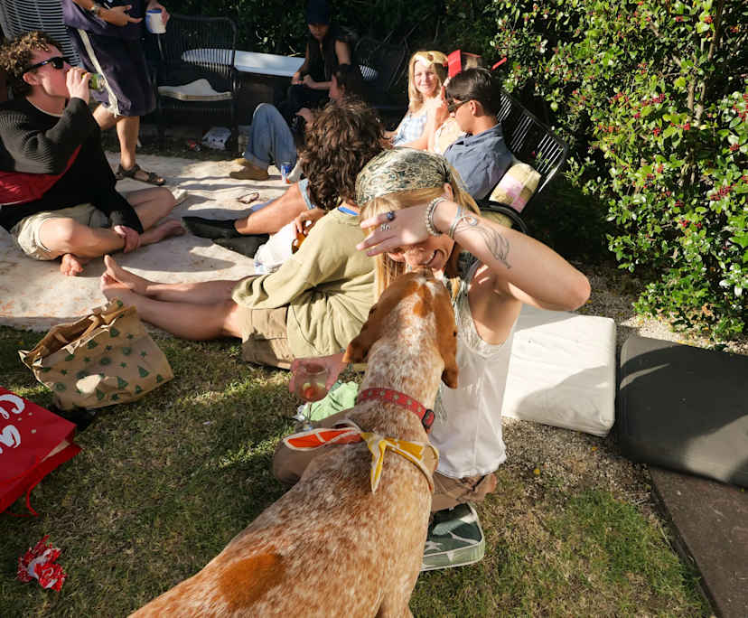 Indigo (25) and Zane (26), $450, LGBTQIA+, Non-smoker, Have pets, and No children