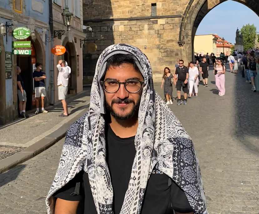 Mahdi (24), $260, Non-smoker, No pets, and No children