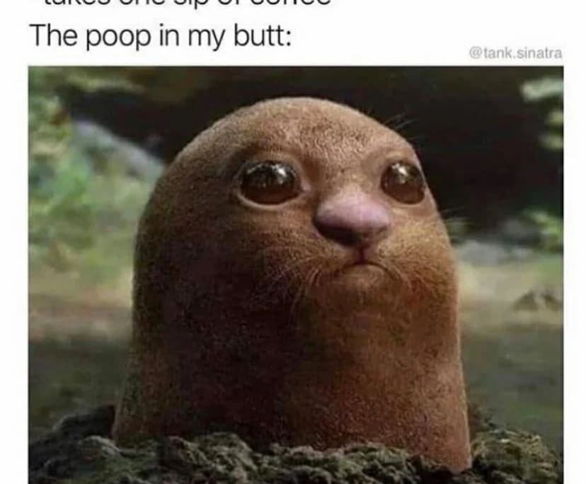 Phim
