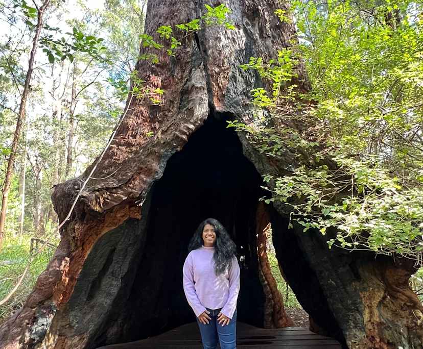 Sramana (30), $300, Non-smoker, No pets, and No children