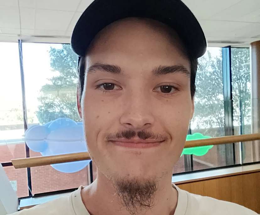 Will (23), $300, Non-smoker, No pets, and No children