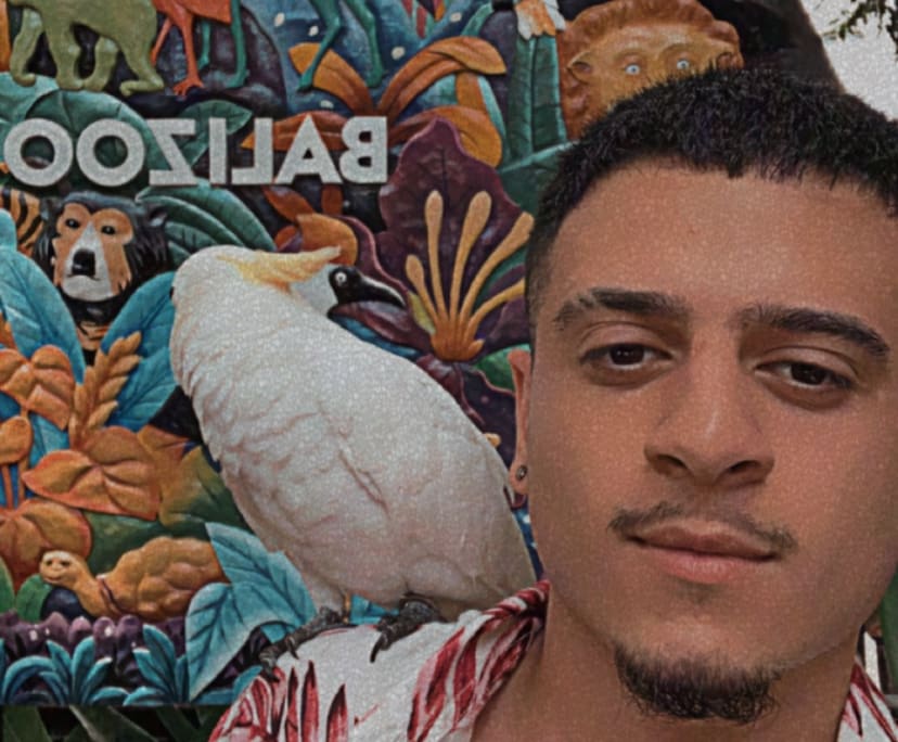 amir-21-looking-in-fletcher-bolwarra-thornton-flatmates-au