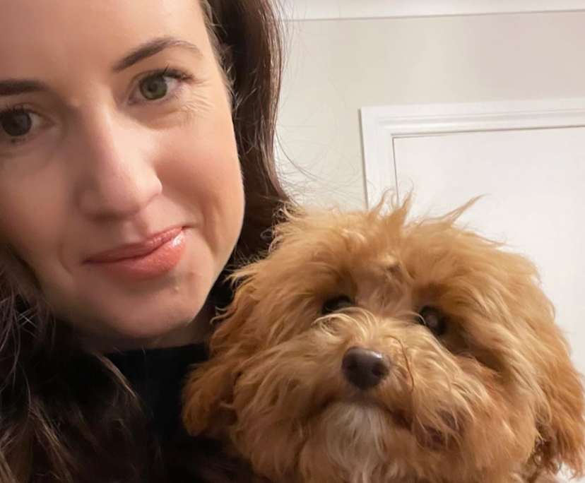 Courtney (34), $400, Non-smoker, Have pets, and No children