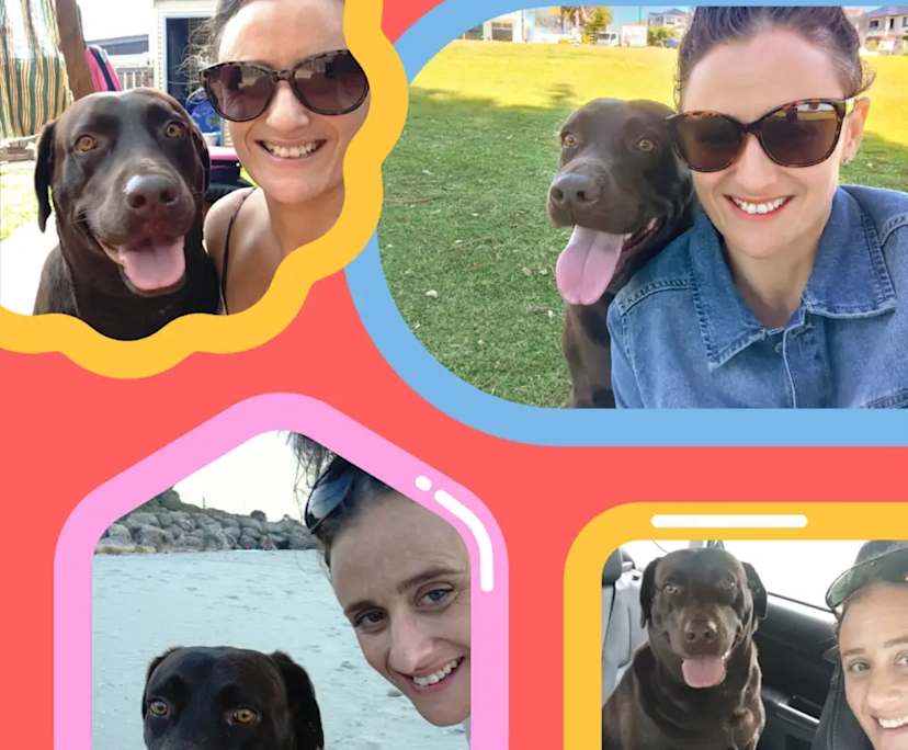 Ange (42), $300, Non-smoker, Have pets, and No children