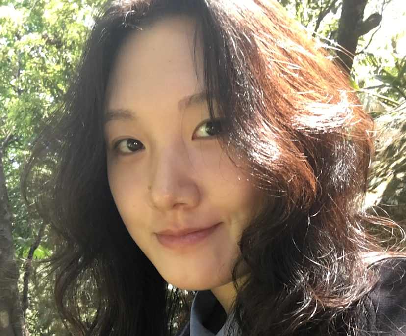 LU (25), $250, Non-smoker, Have pets, and No children