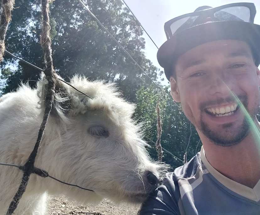 Max (28), $350, Non-smoker, No pets, and No children