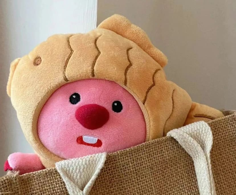 Ruidi (27), $490, Non-smoker, No pets, and No children