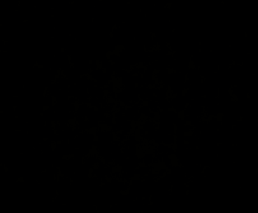 Vrinda
