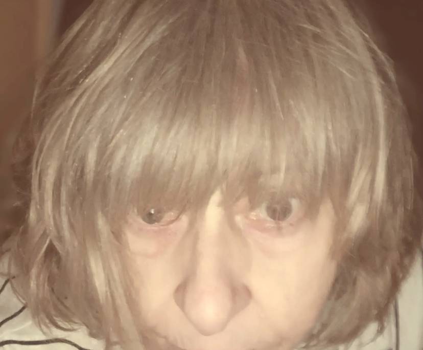 Sharon (65), $300, Have pets, Non-smoker, and No children