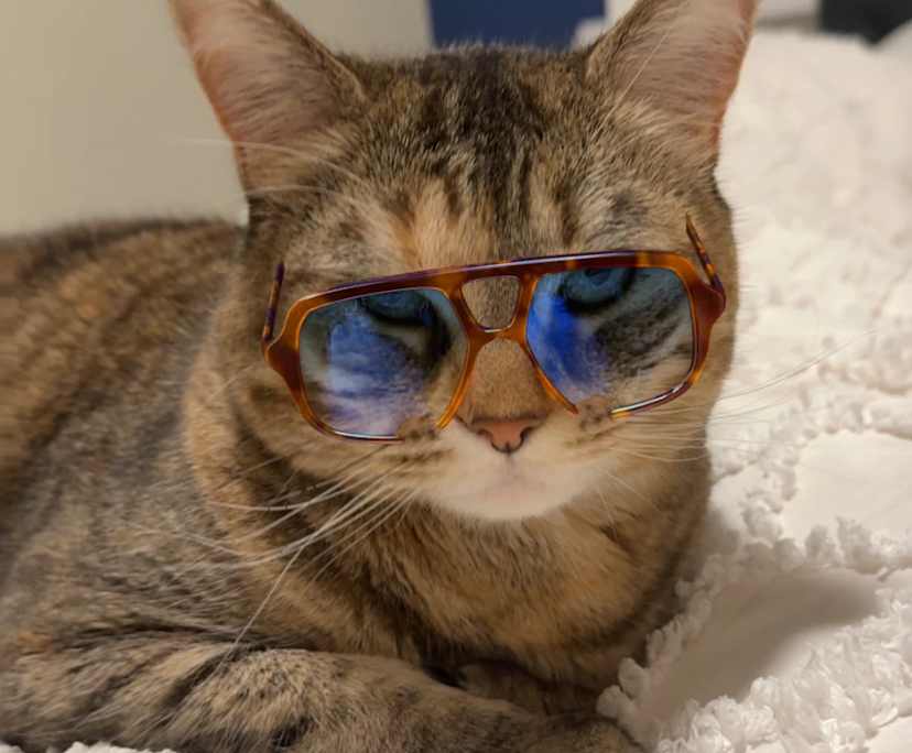Gia