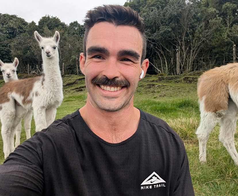 Michael (32), $550, Non-smoker, Have pets, and No children