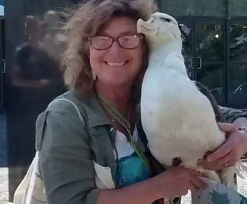 Elizabeth (61), $300, Non-smoker, Have pets, and No children