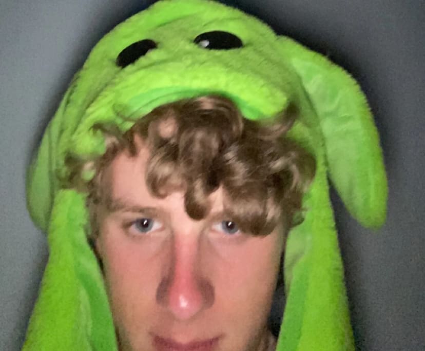 Max (20), $350, Non-smoker, No pets, No children, and LGBTQIA+