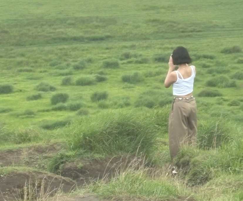 Lulu