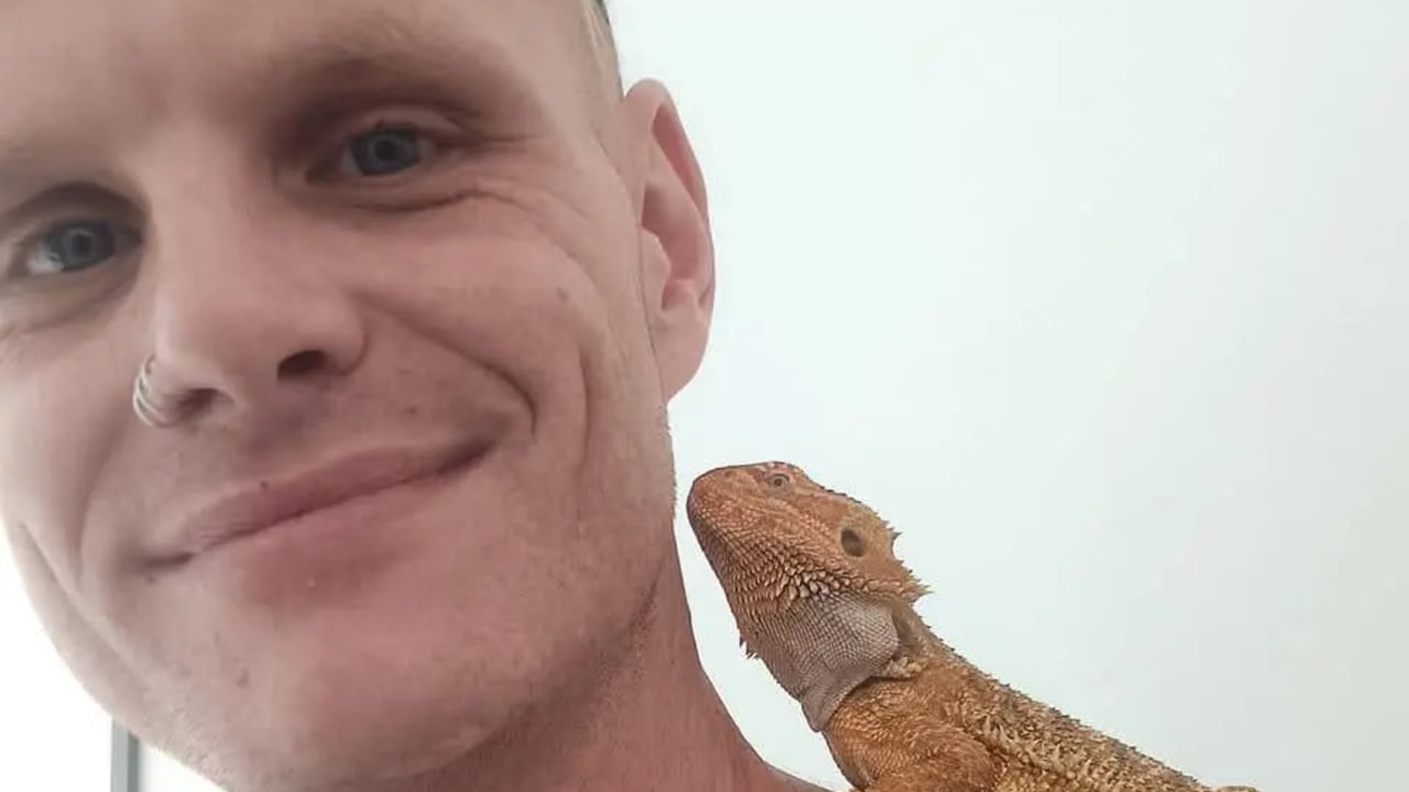 Dan