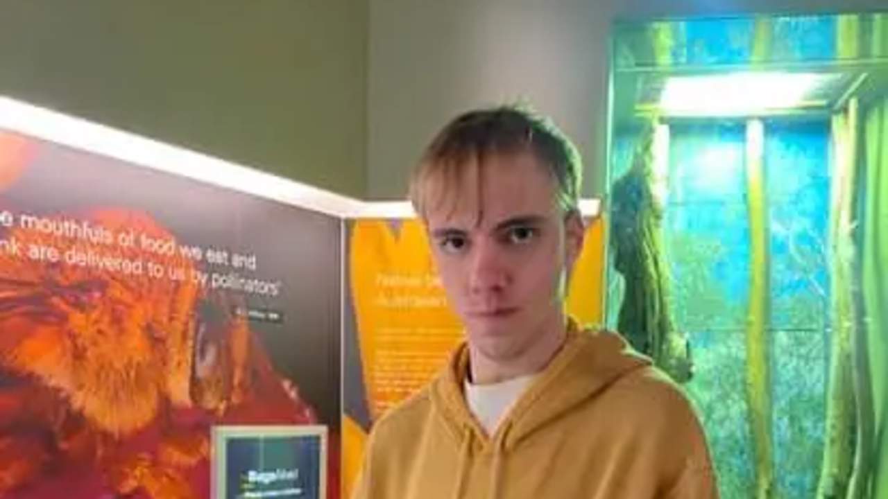 Matthew