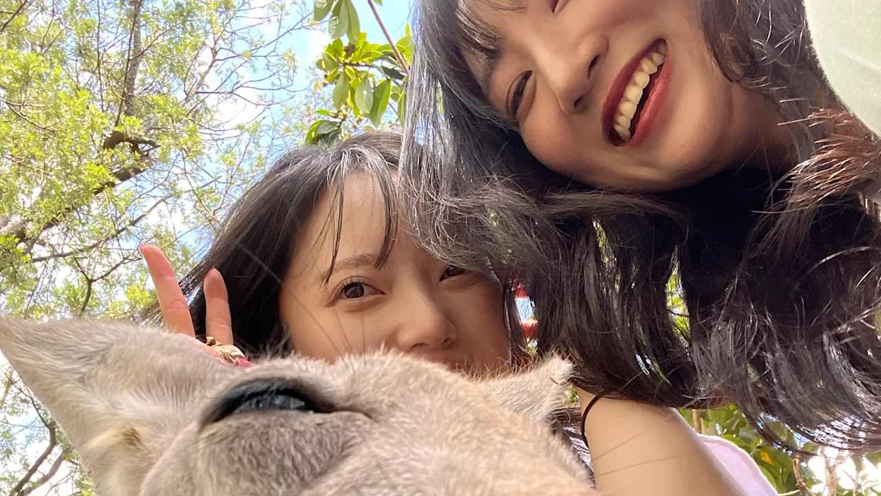 Wongyeong LEE & CHOI