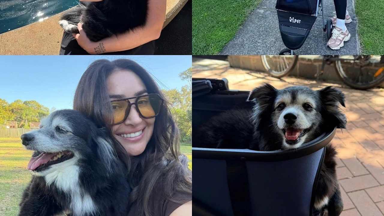 Dani