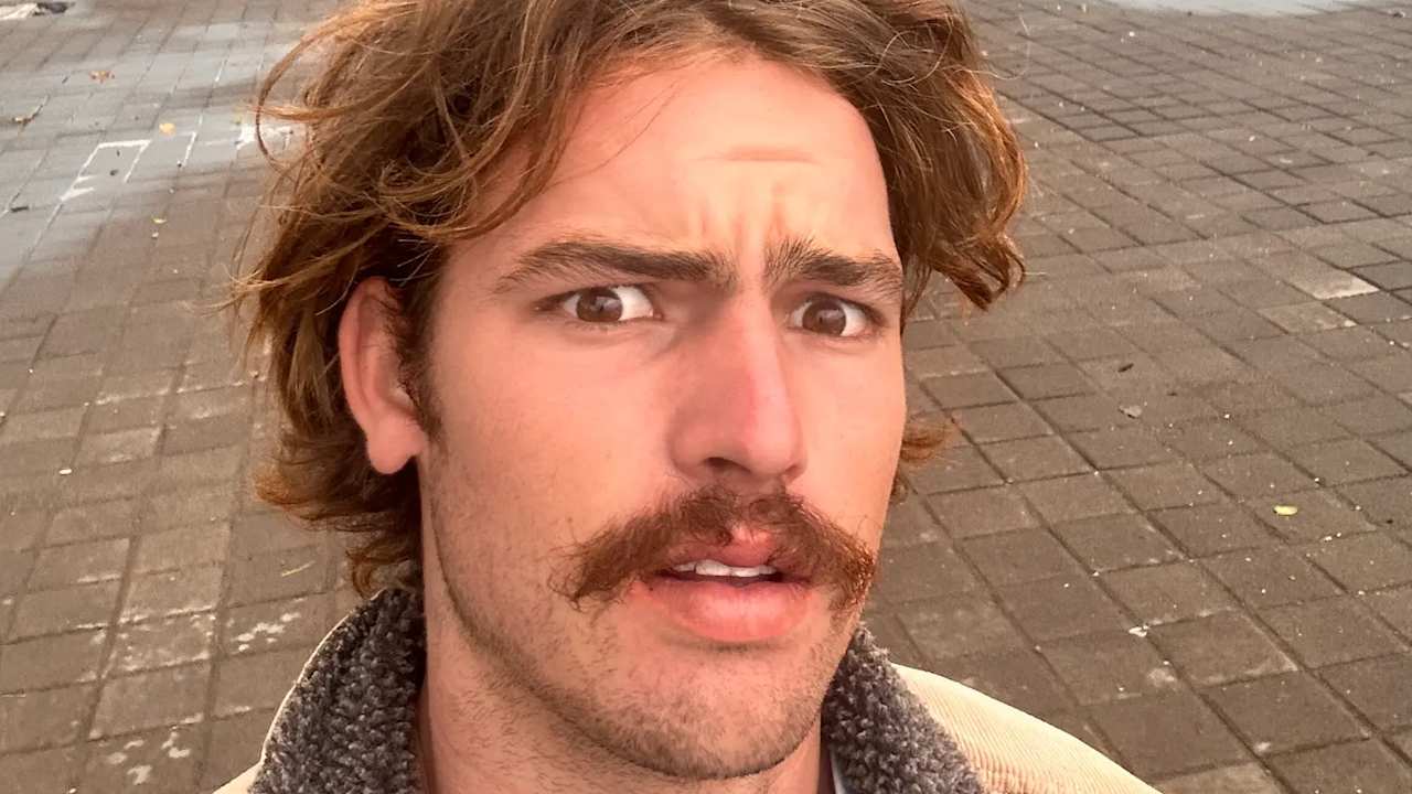 Harrison brandsma