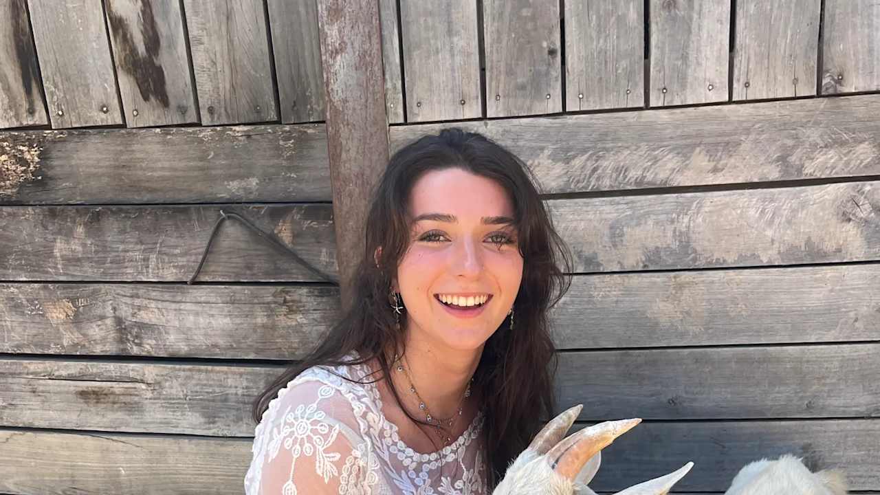 Stella