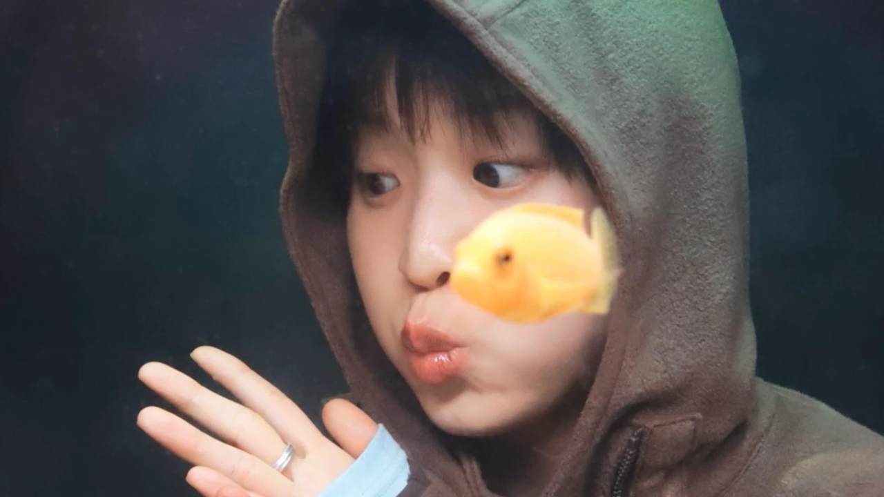 Dayoung