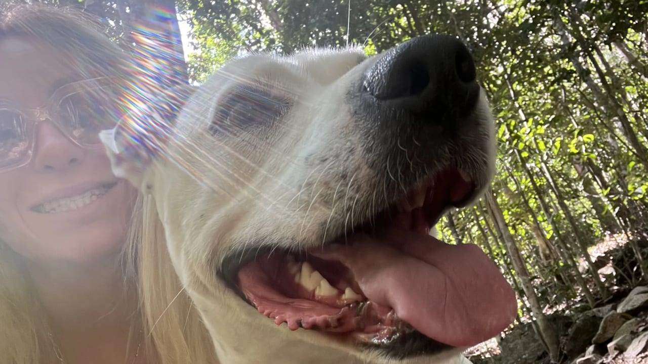 Jasmine