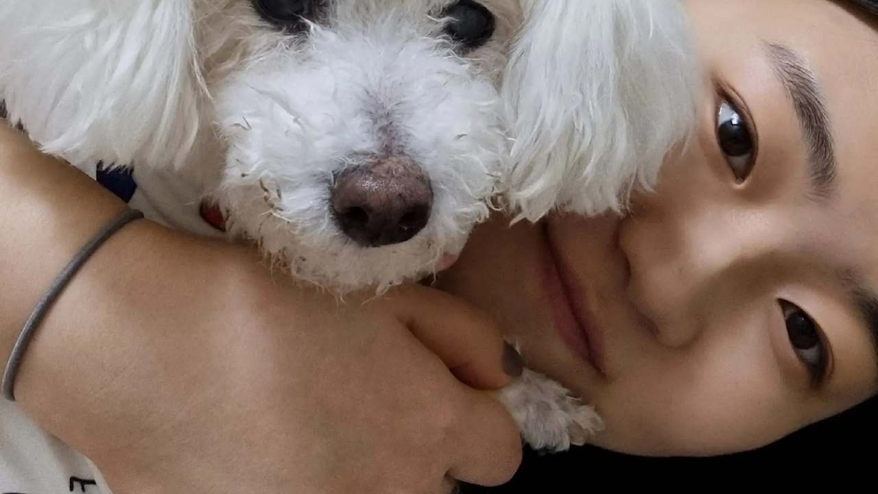 Lia